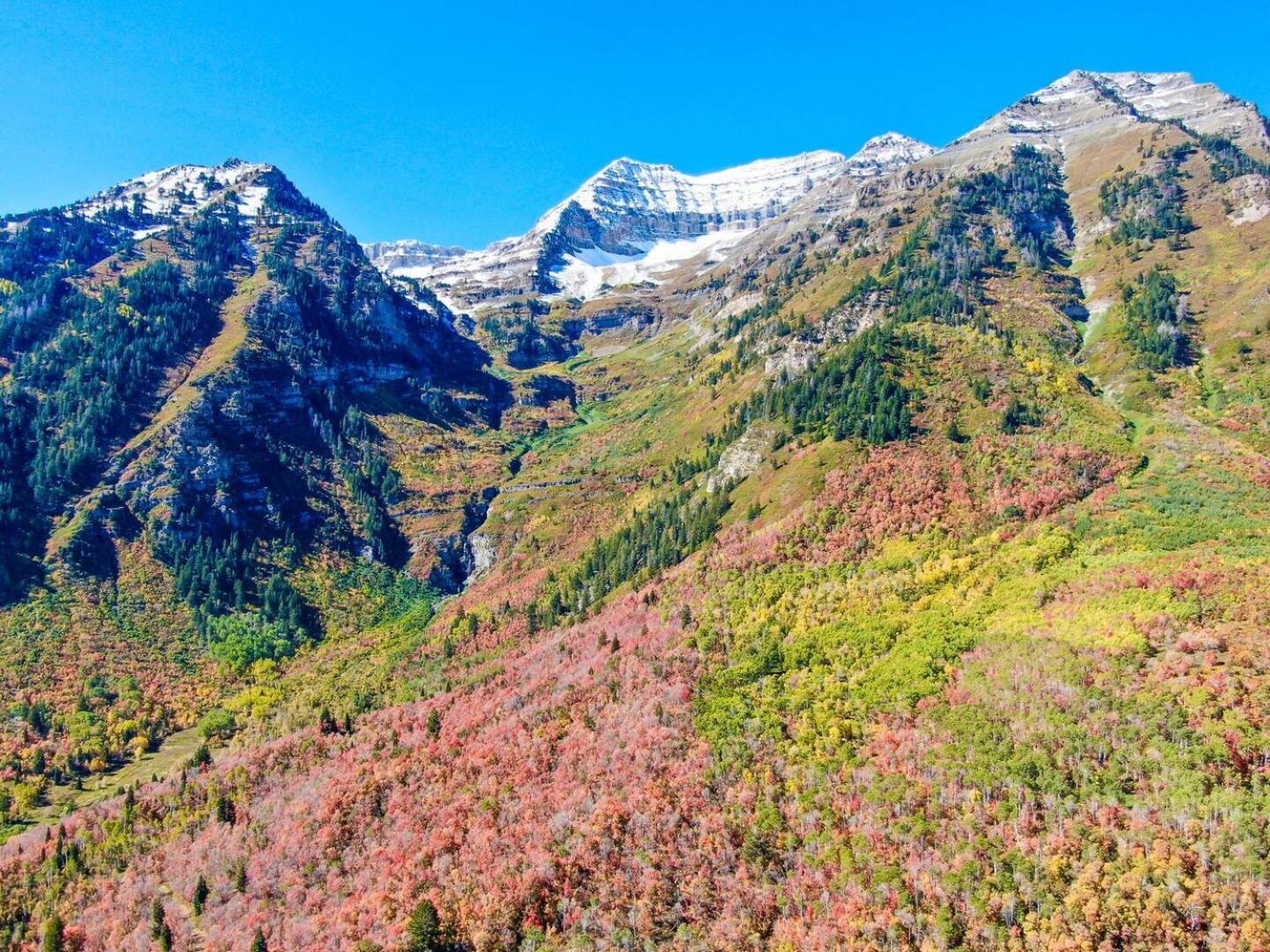 Luxury 4Br Mountain Retreat Near Sundance Resort Esterno foto