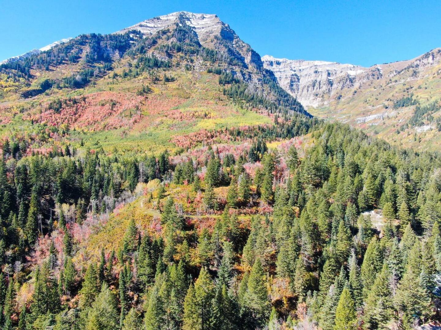 Luxury 4Br Mountain Retreat Near Sundance Resort Esterno foto